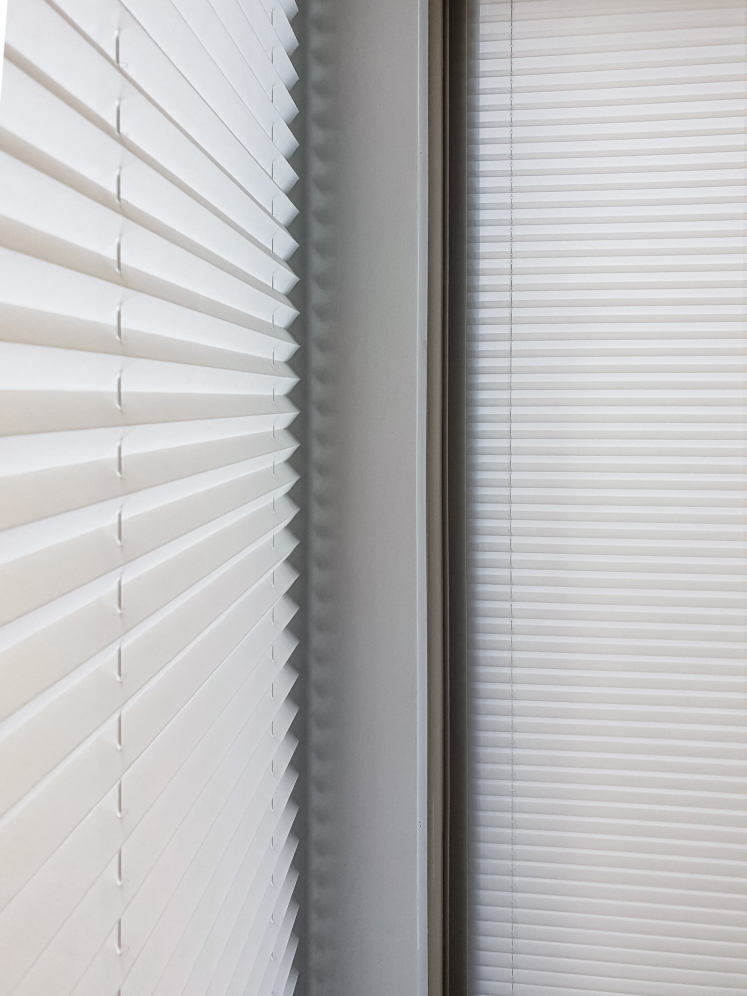 Pleated Shades